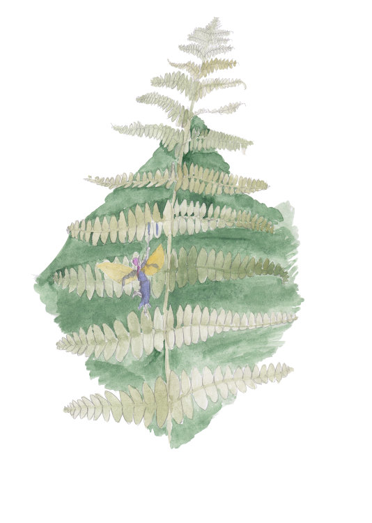 Открытка KaiArt: фейри и папоротник (fairy and polypodiophyta/fern)
